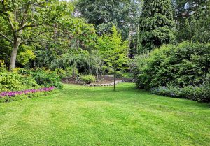 Optimiser l'expérience du jardin à Embres-et-Castelmaure